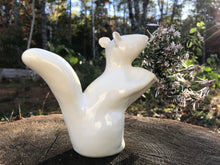 Load image into Gallery viewer, Squirrel Vase